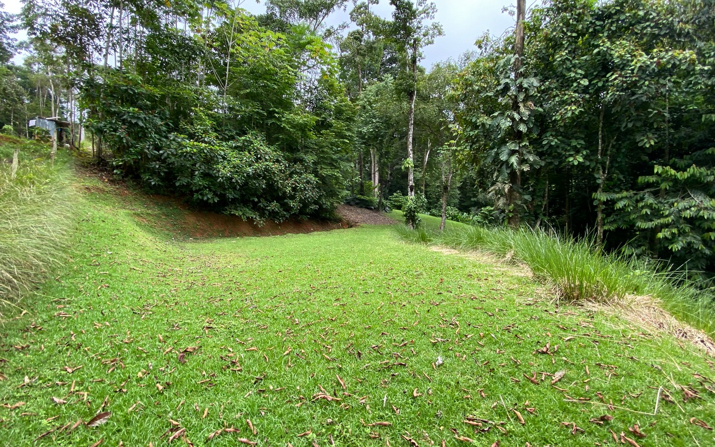 0 bed Land For Sale in Uvita, Puntarenas - thumb 9