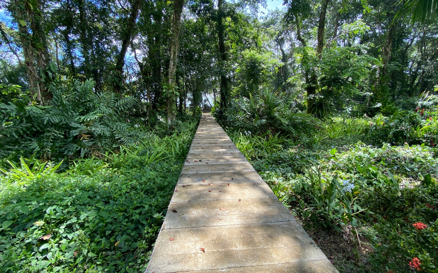 0 bed Land For Sale in Uvita, Puntarenas - thumb 6