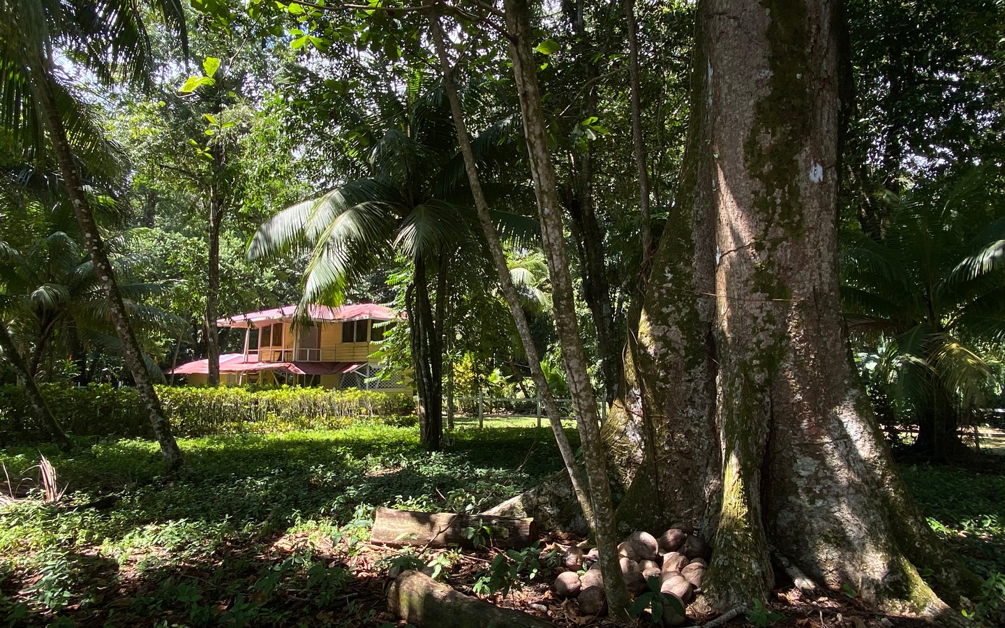 0 bed Land For Sale in Uvita, Puntarenas - thumb 15