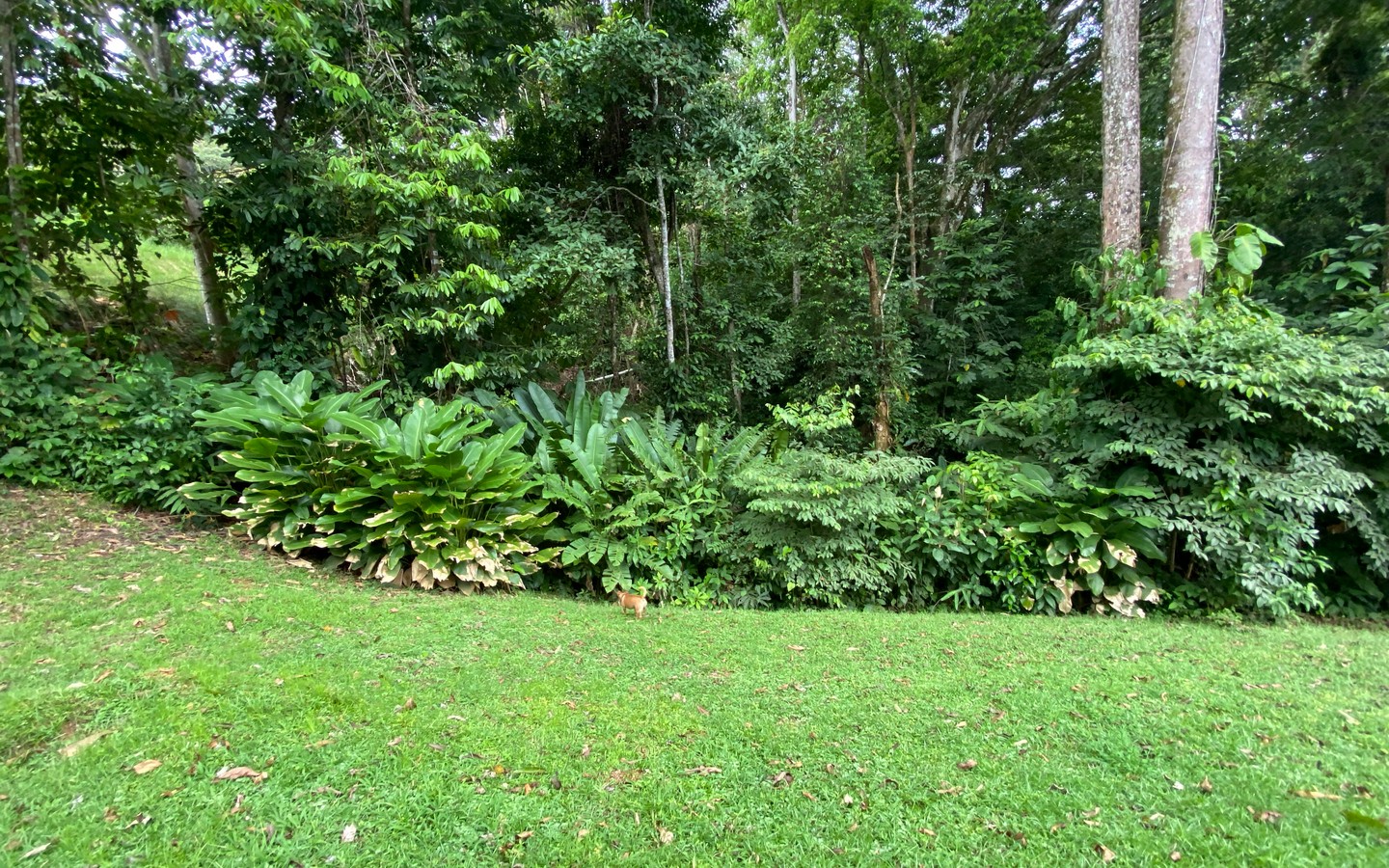 0 bed Land For Sale in Uvita, Puntarenas - thumb 22