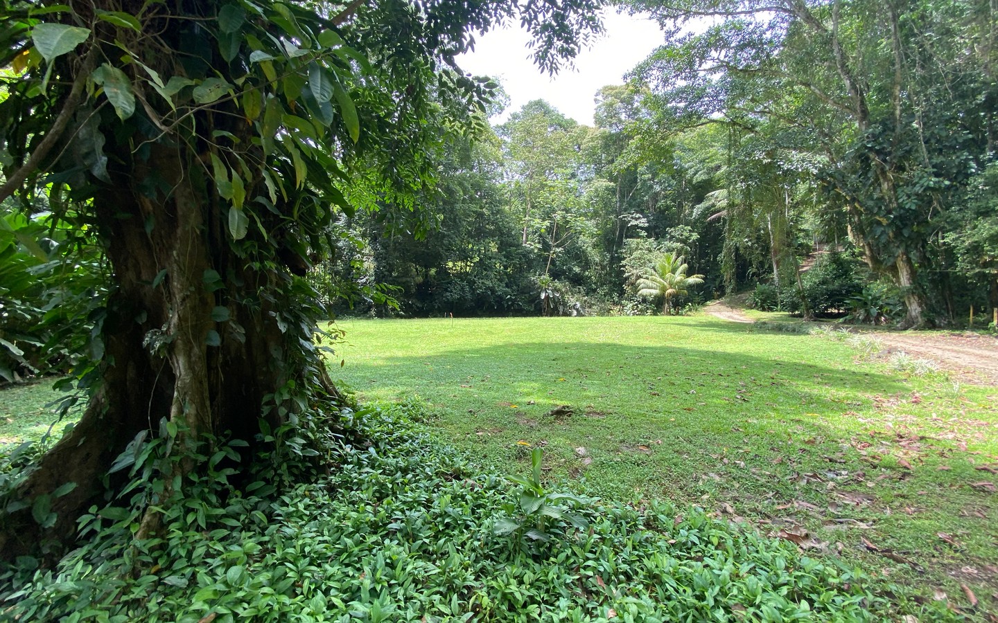 0 bed Land For Sale in Uvita, Puntarenas - thumb 12