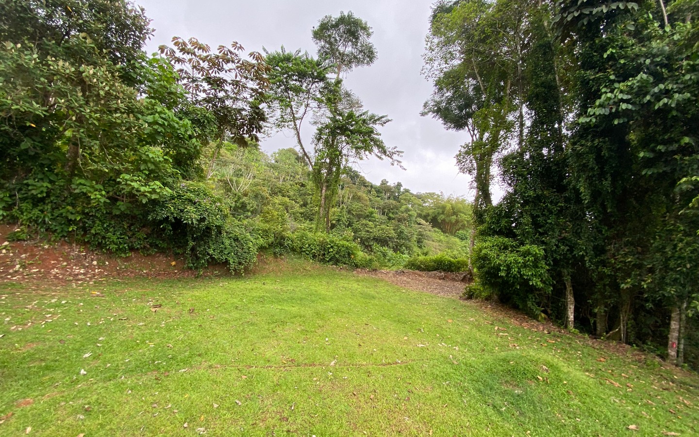 0 bed Land For Sale in Uvita, Puntarenas - thumb 14