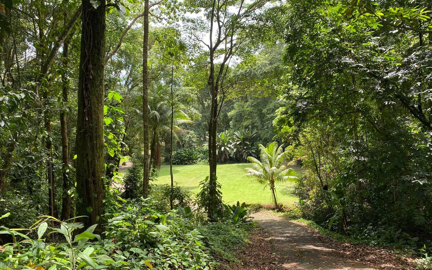 0 bed Land For Sale in Uvita, Puntarenas - thumb 7