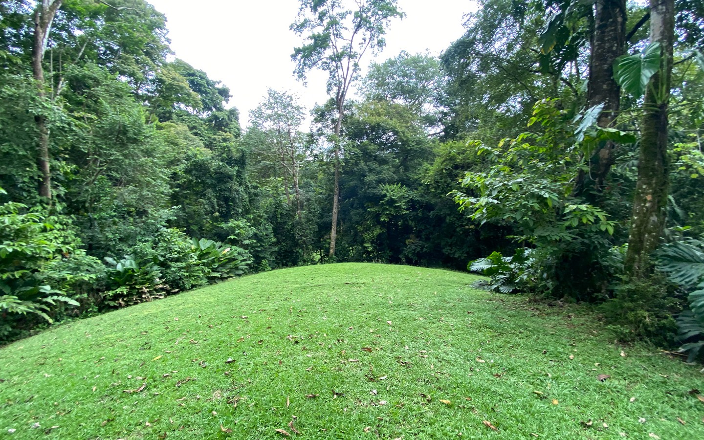 0 bed Land For Sale in Uvita, Puntarenas - thumb 23