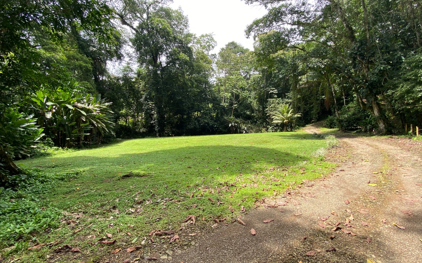 0 bed Land For Sale in Uvita, Puntarenas - thumb 11