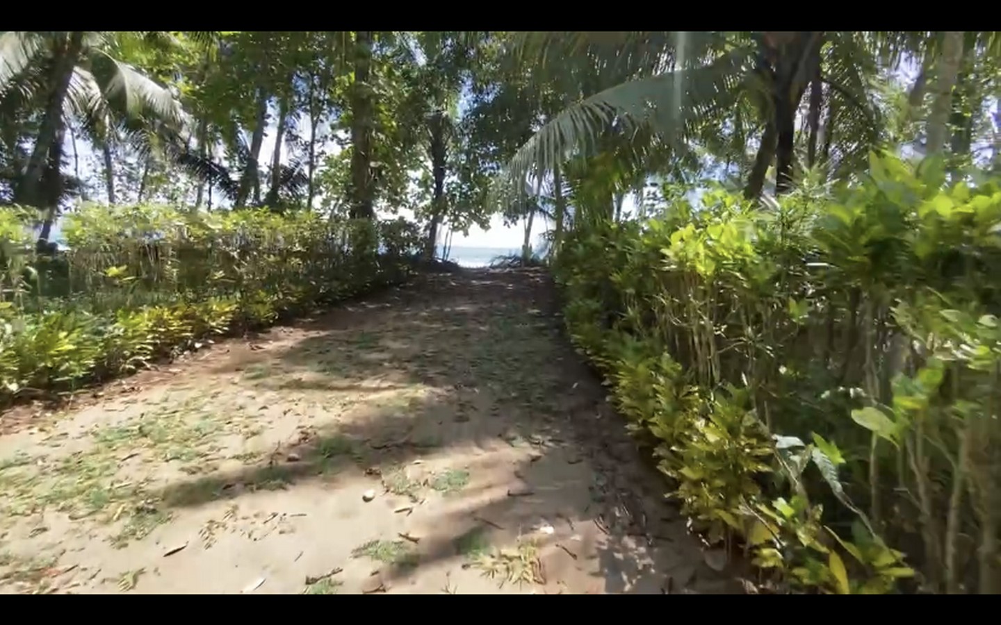 0 bed Land For Sale in Uvita, Puntarenas - thumb 4