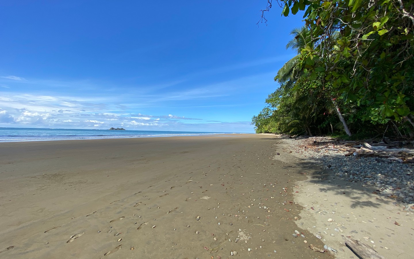 0 bed Land For Sale in Uvita, Puntarenas - thumb 1