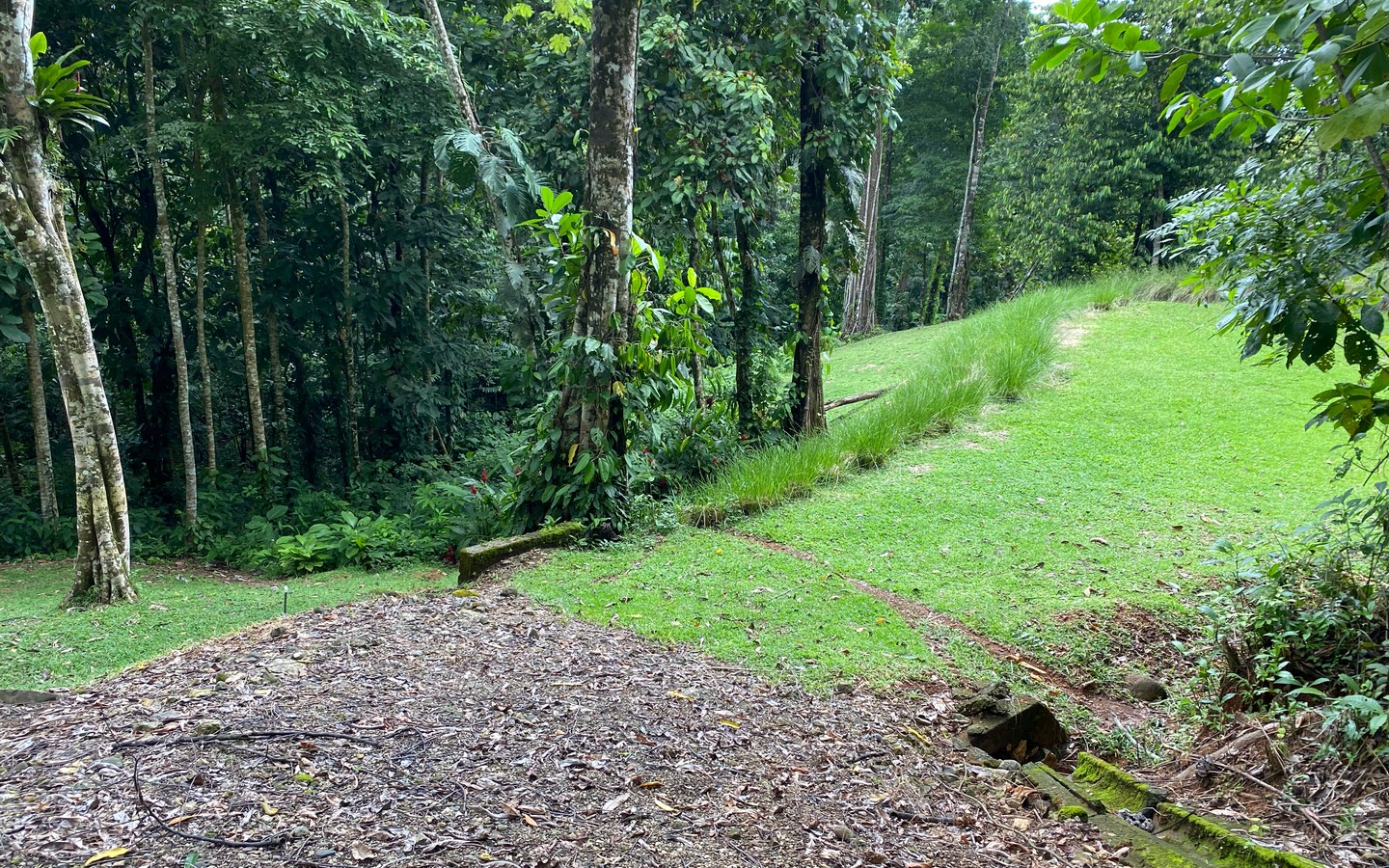 0 bed Land For Sale in Uvita, Puntarenas - thumb 25