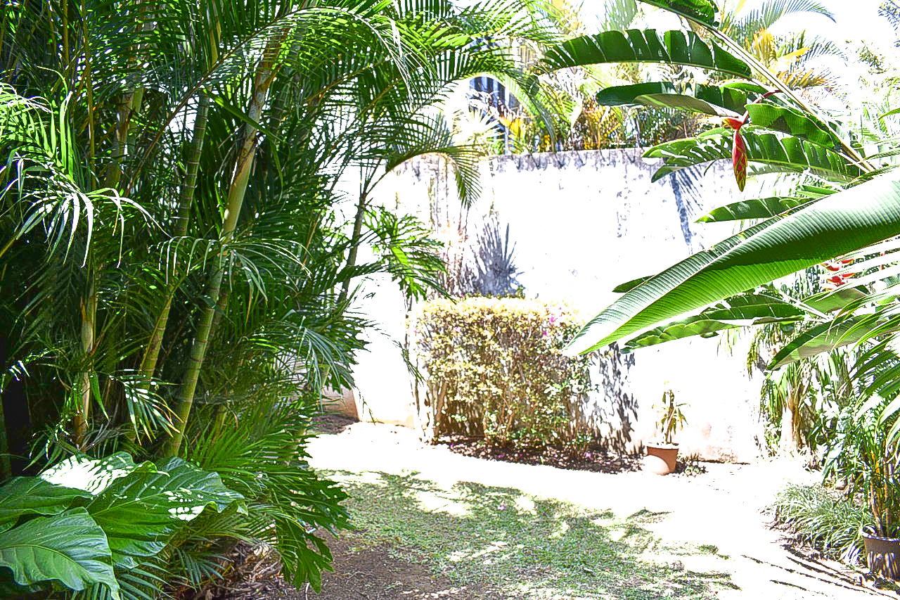 5 bed Single Family Homes For Sale in Curridabat, San Jose - thumb 4