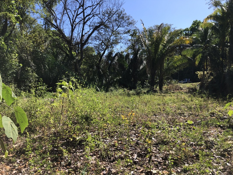 0 bed Land For Sale in Samara, Guanacaste - thumb 6