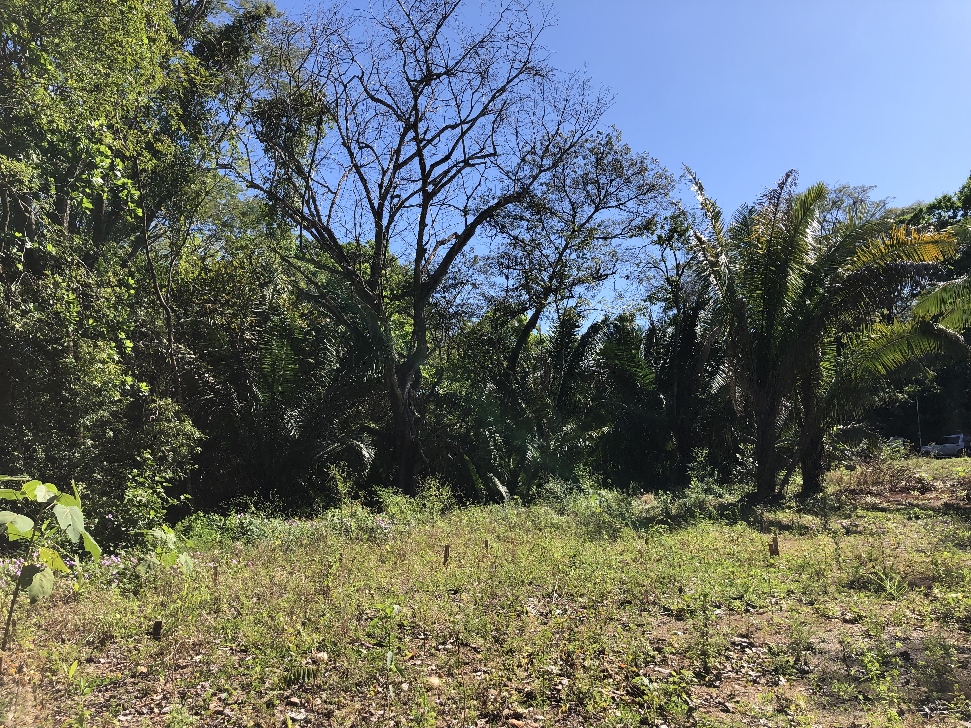 0 bed Land For Sale in Samara, Guanacaste - thumb 3