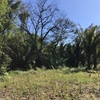  - Samara Woods #28 - perfect location next to town and samara beach