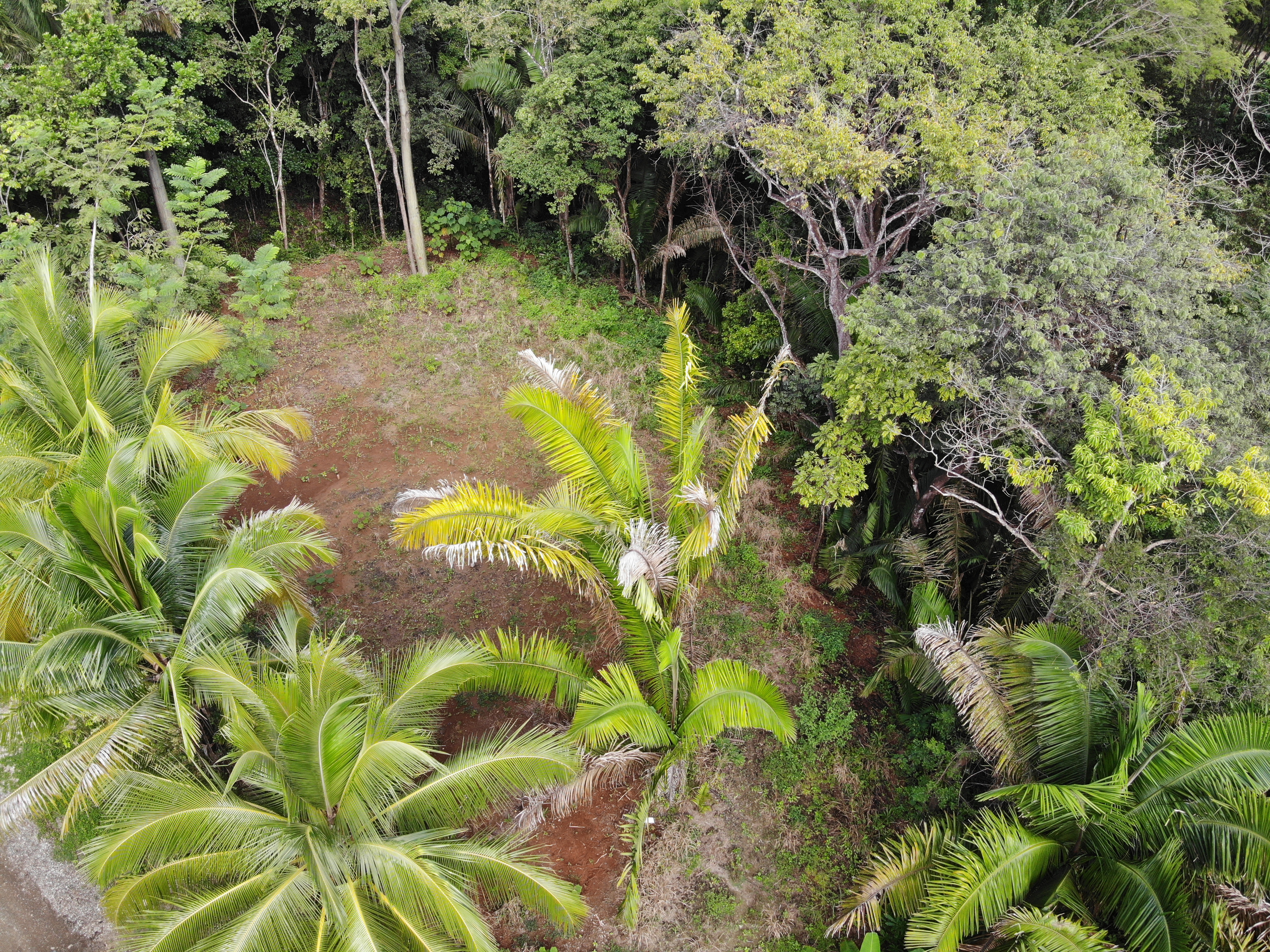 0 bed Land For Sale in Samara, Guanacaste - thumb 1