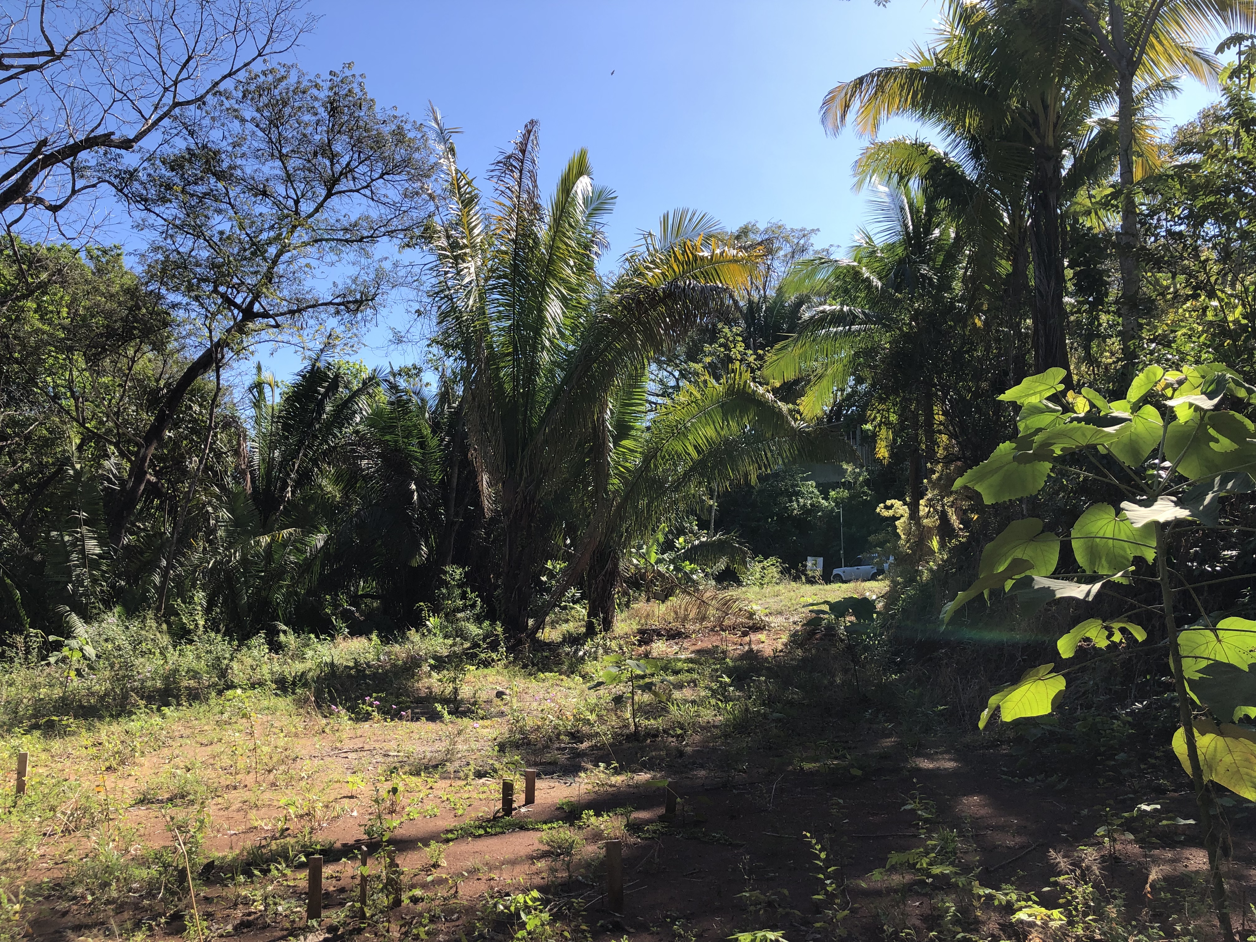 0 bed Land For Sale in Samara, Guanacaste - thumb 5