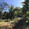  - Samara Woods #28 - perfect location next to town and samara beach