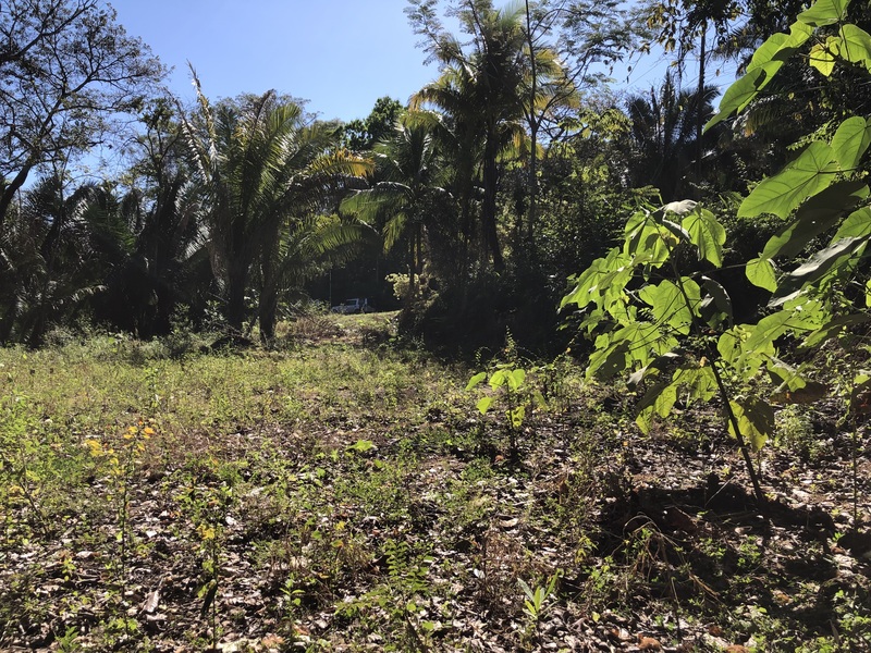 0 bed Land For Sale in Samara, Guanacaste - thumb 9