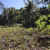  - Samara Woods #28 - perfect location next to town and samara beach