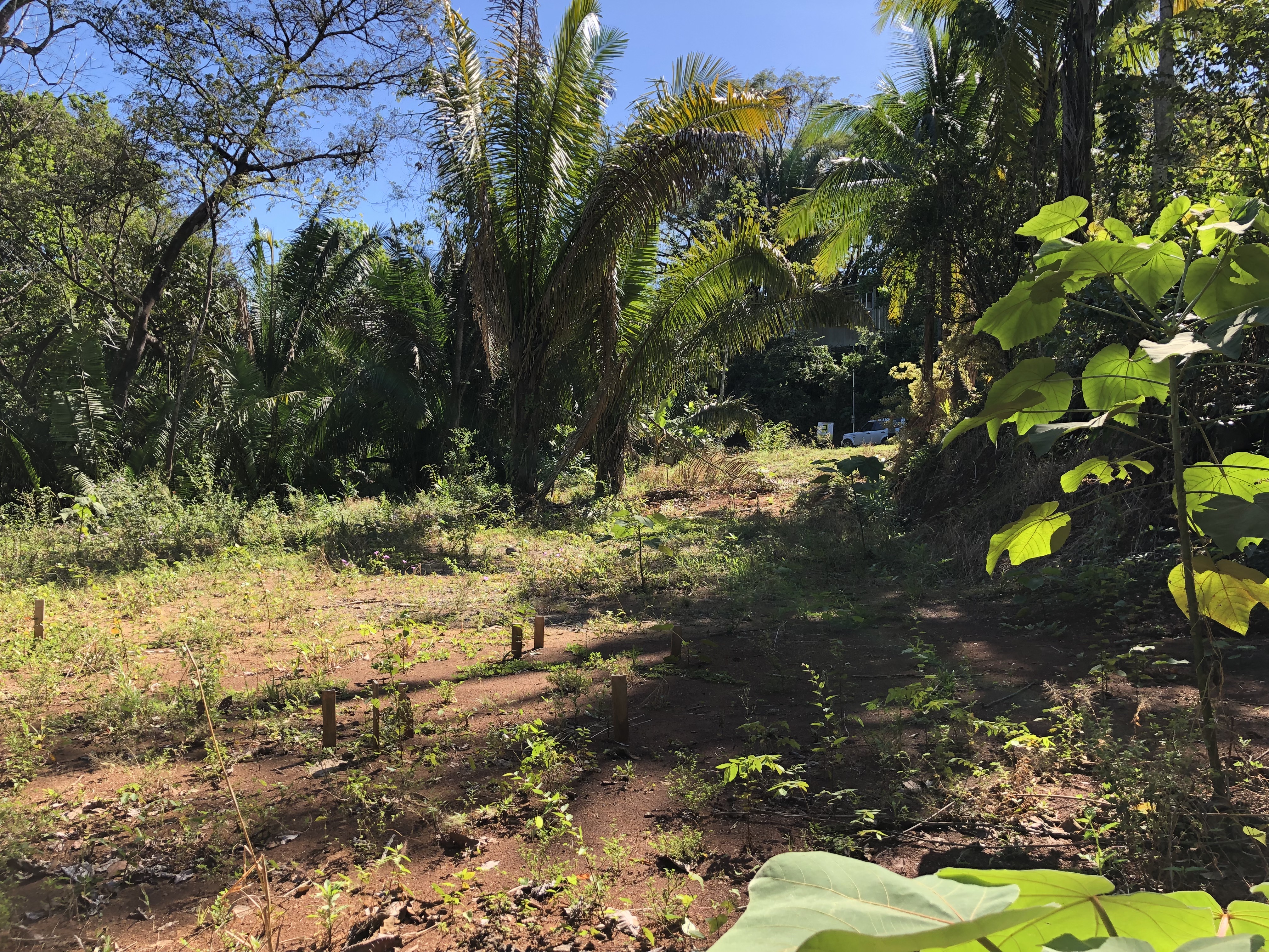 0 bed Land For Sale in Samara, Guanacaste - thumb 4