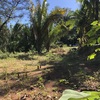  - Samara Woods #28 - perfect location next to town and samara beach