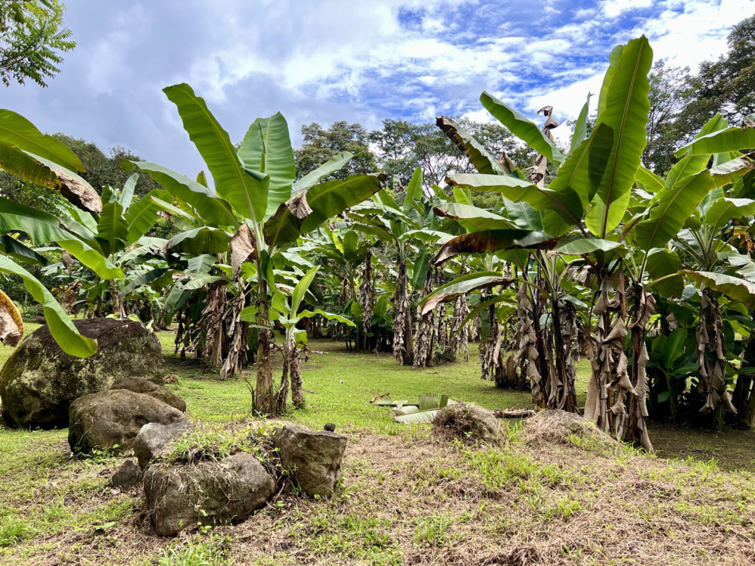 0 bed Land For Sale in Ojochal, Puntarenas - thumb 6