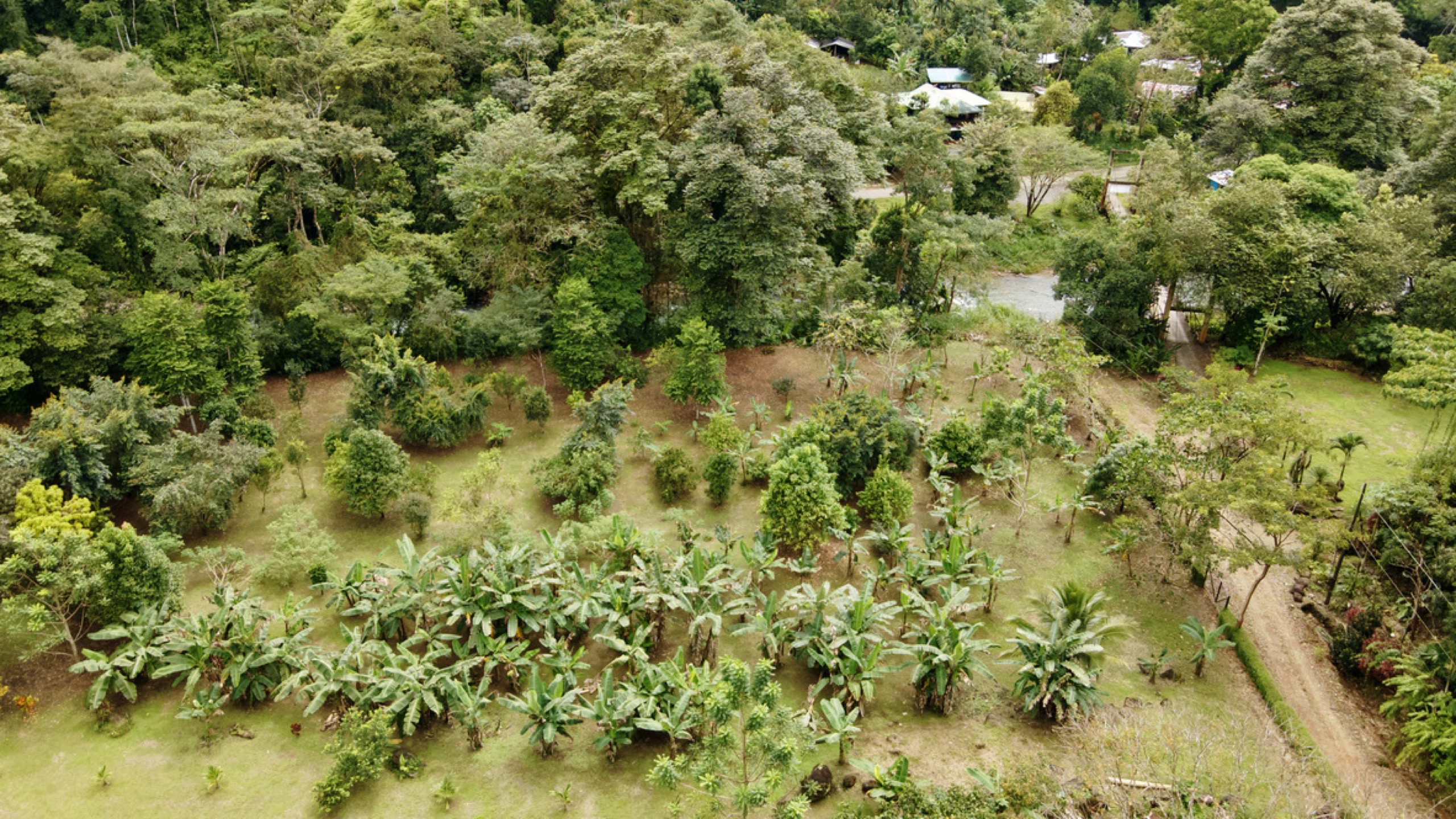 0 bed Land For Sale in Ojochal, Puntarenas - thumb 12