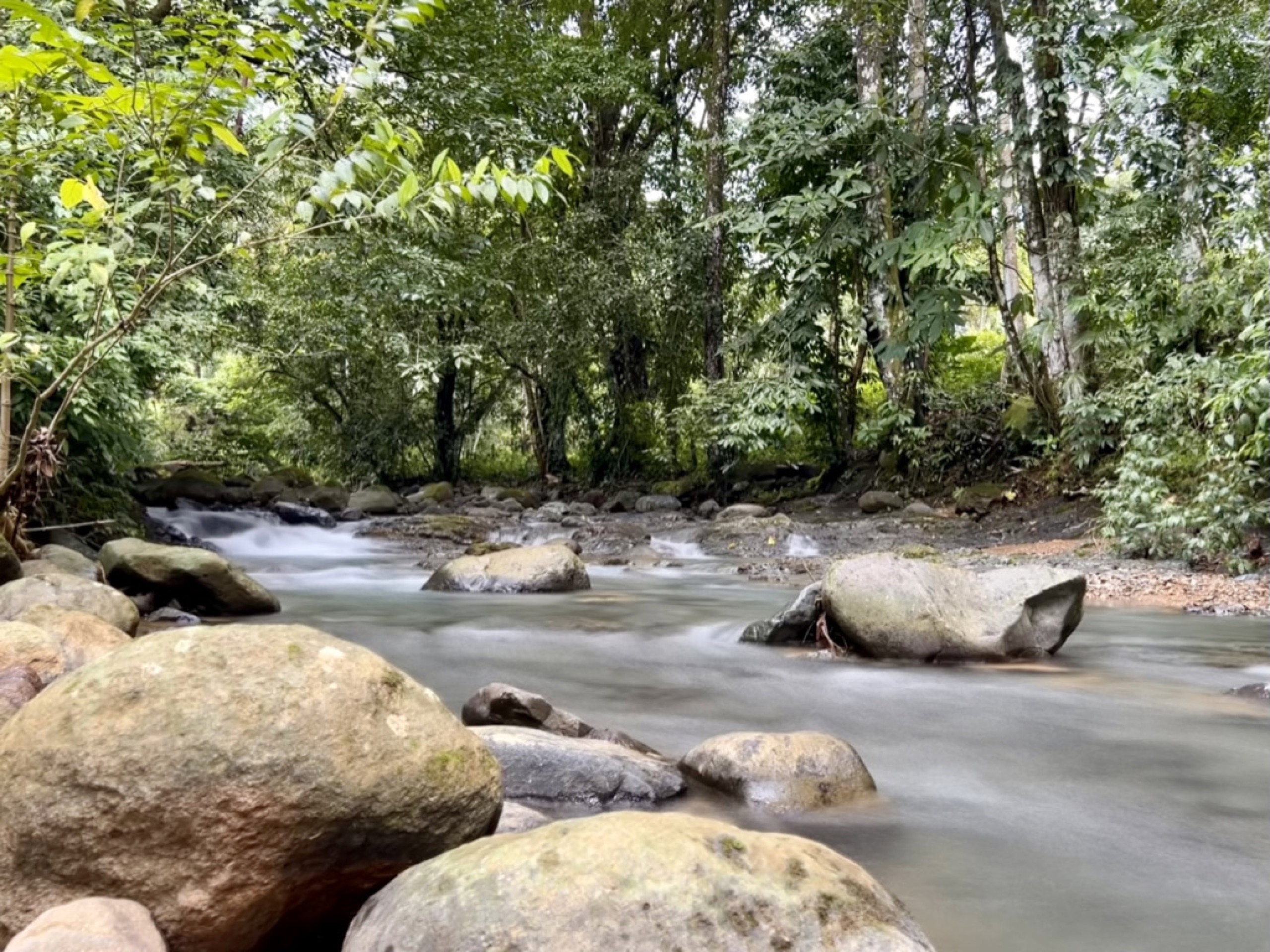 0 bed Land For Sale in Ojochal, Puntarenas - thumb 1