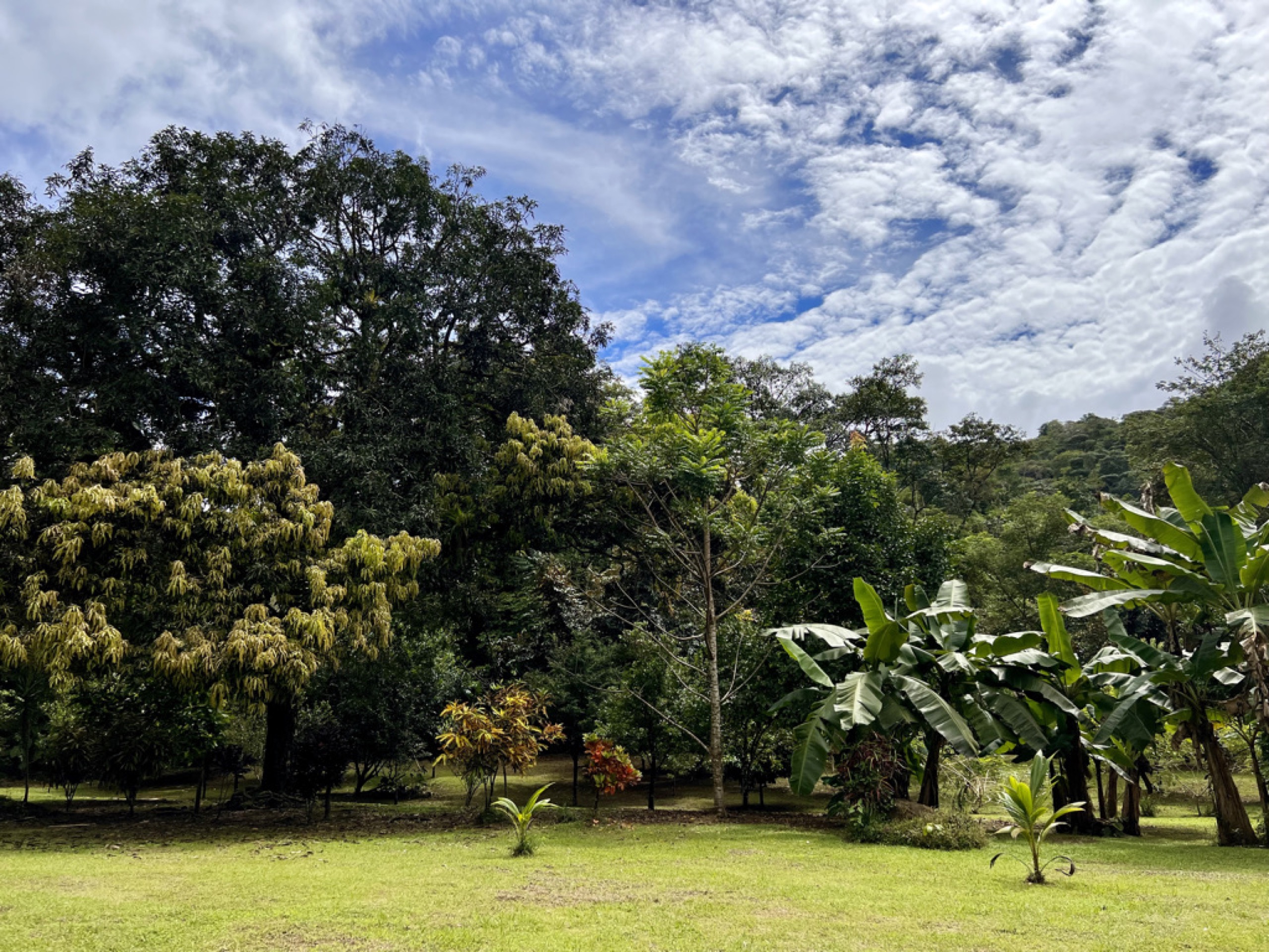 0 bed Land For Sale in Ojochal, Puntarenas - thumb 10