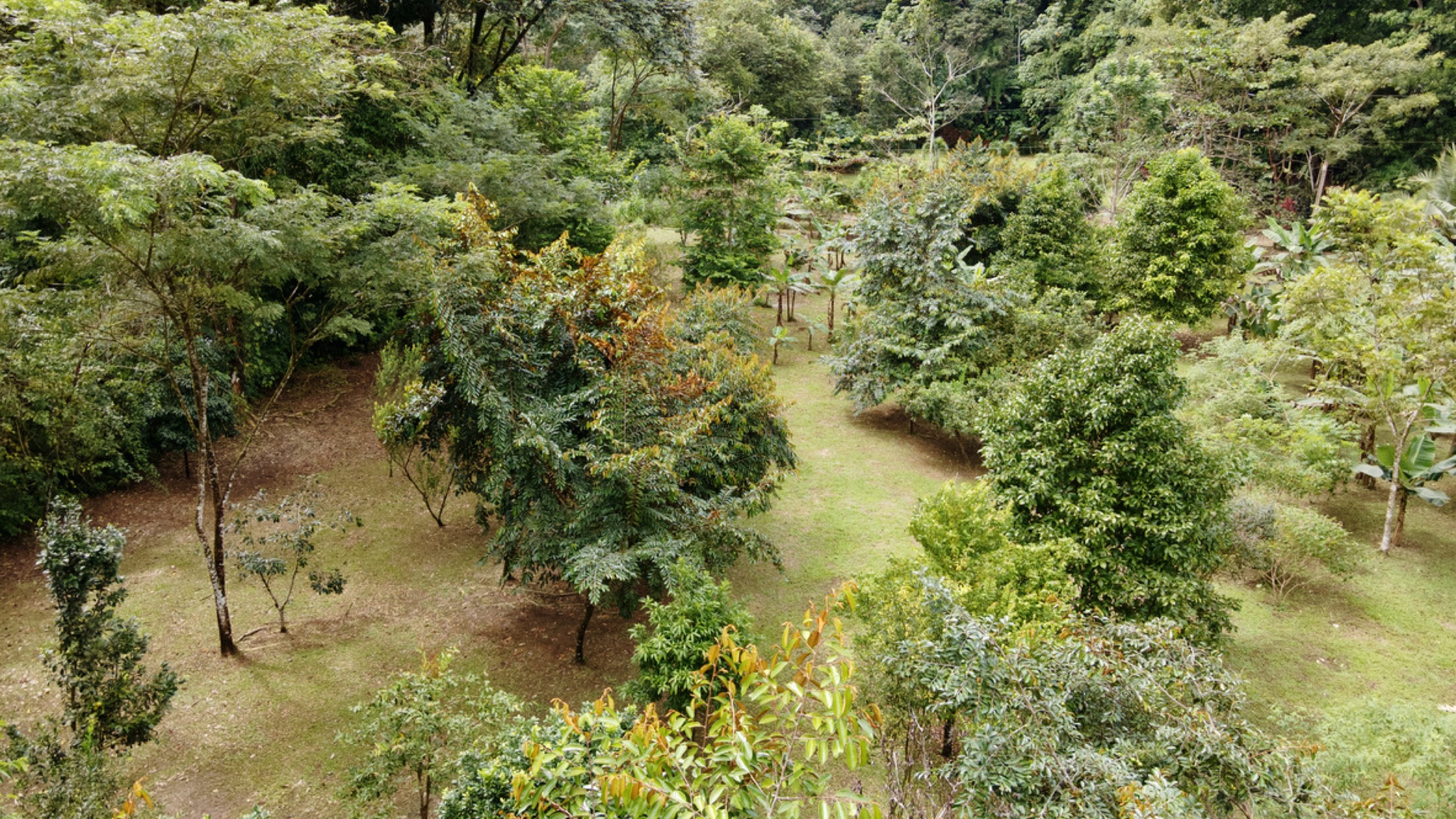 0 bed Land For Sale in Ojochal, Puntarenas - thumb 11