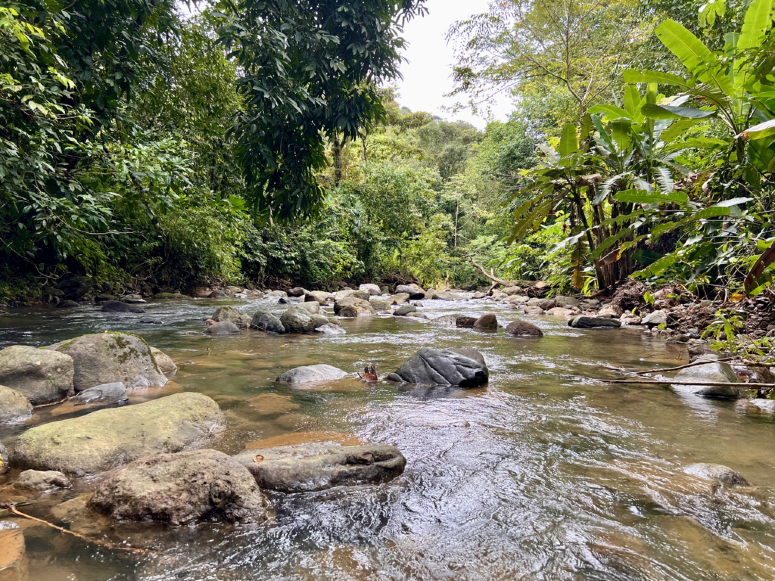 0 bed Land For Sale in Ojochal, Puntarenas - thumb 2