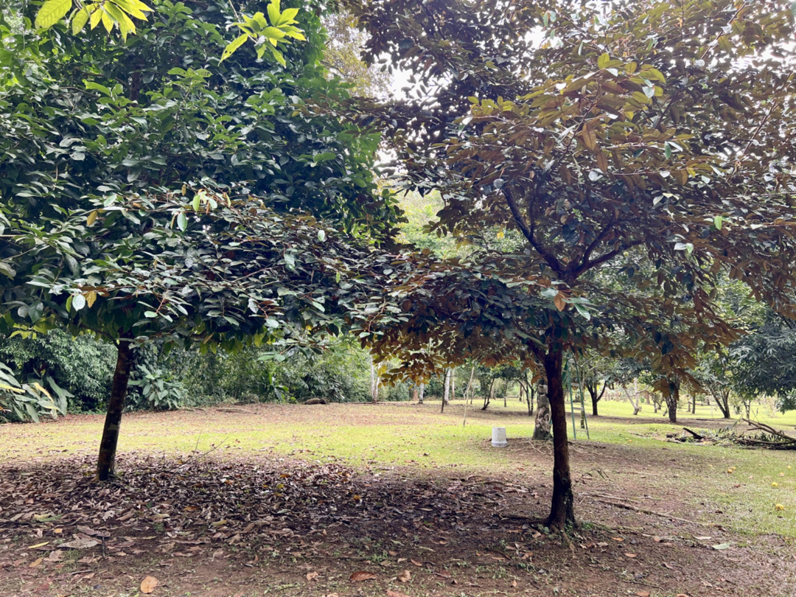 0 bed Land For Sale in Ojochal, Puntarenas - thumb 4