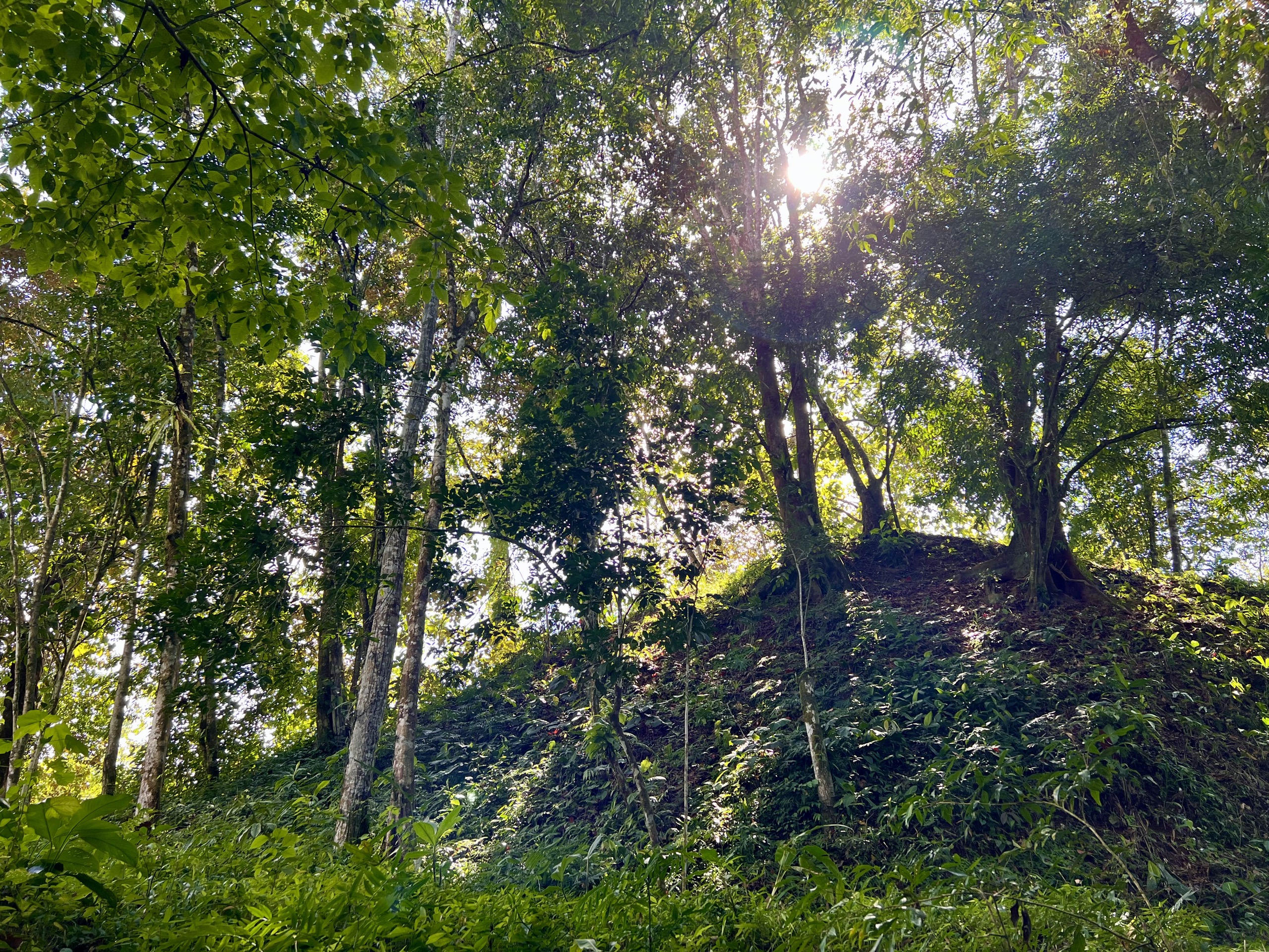 0 bed Land For Sale in Ojochal, Puntarenas - thumb 18