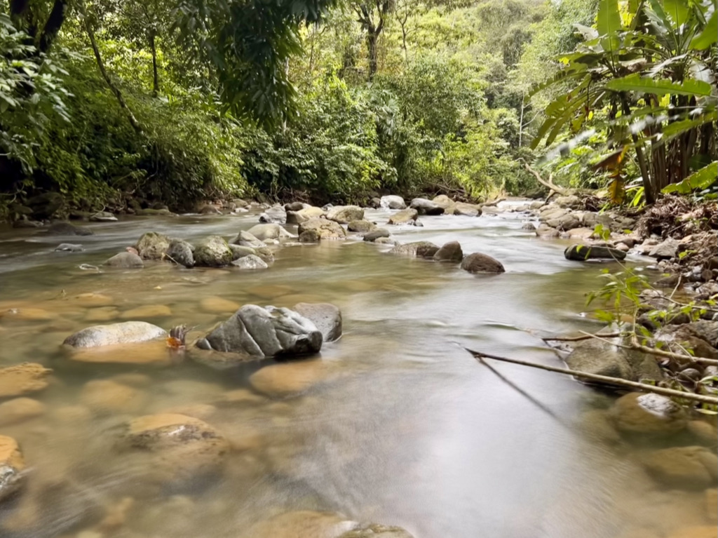 0 bed Land For Sale in Ojochal, Puntarenas - thumb 17