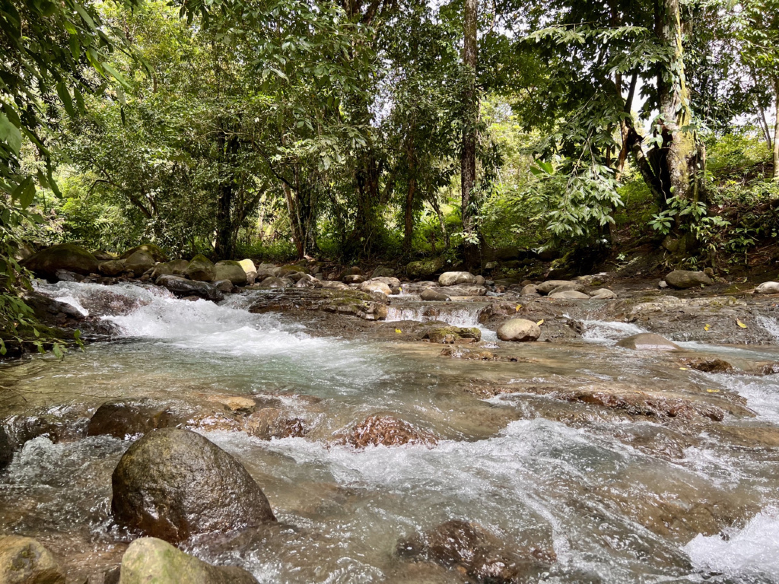 0 bed Land For Sale in Ojochal, Puntarenas - thumb 13