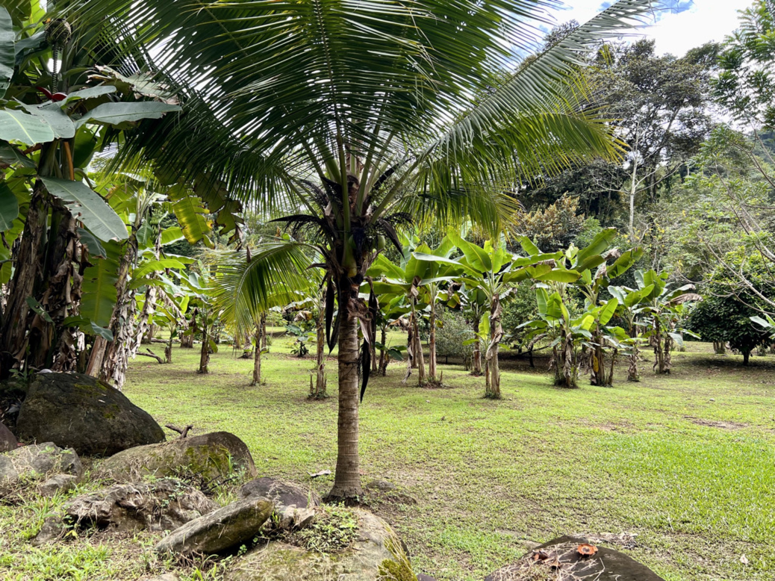 0 bed Land For Sale in Ojochal, Puntarenas - thumb 7