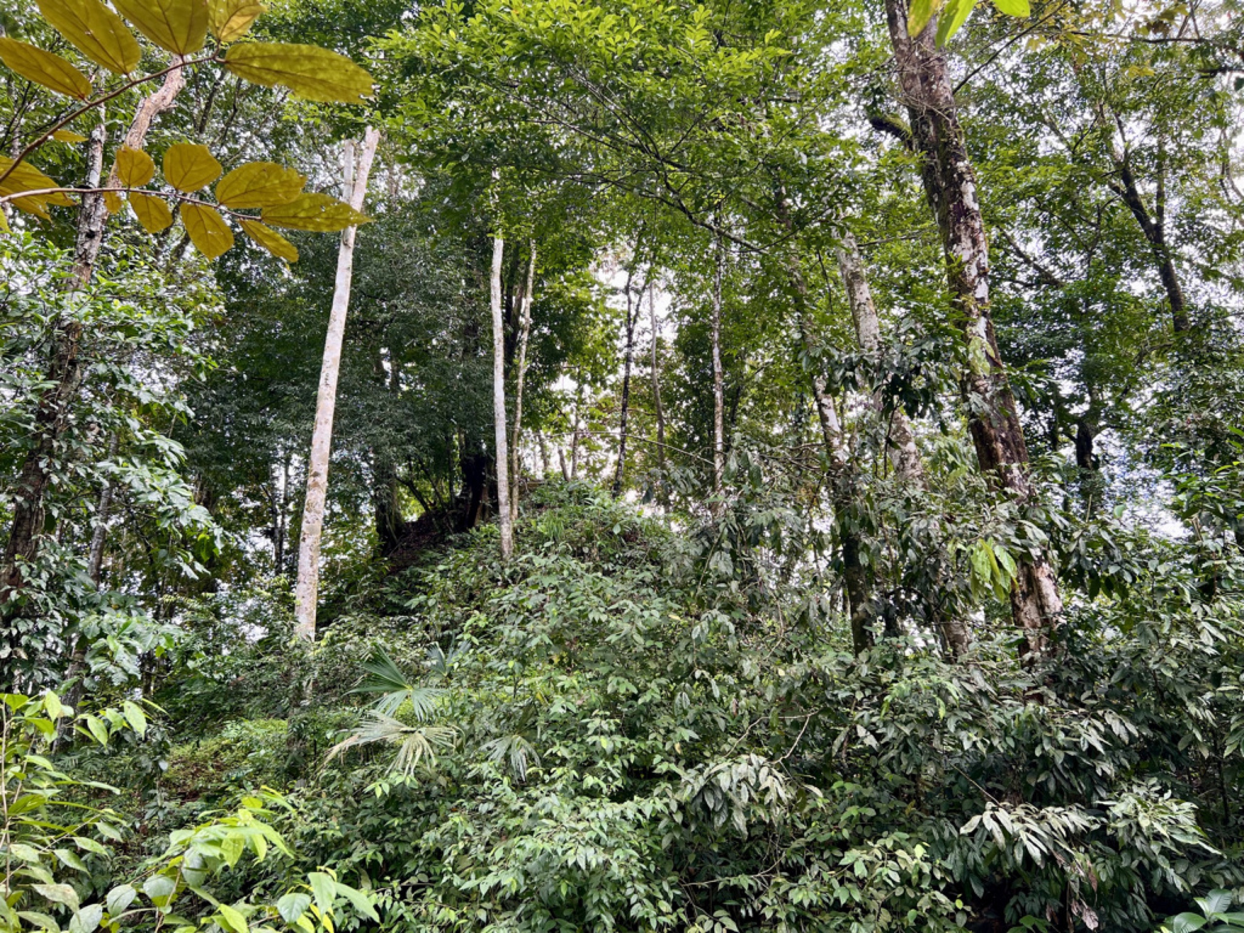 0 bed Land For Sale in Ojochal, Puntarenas - thumb 3