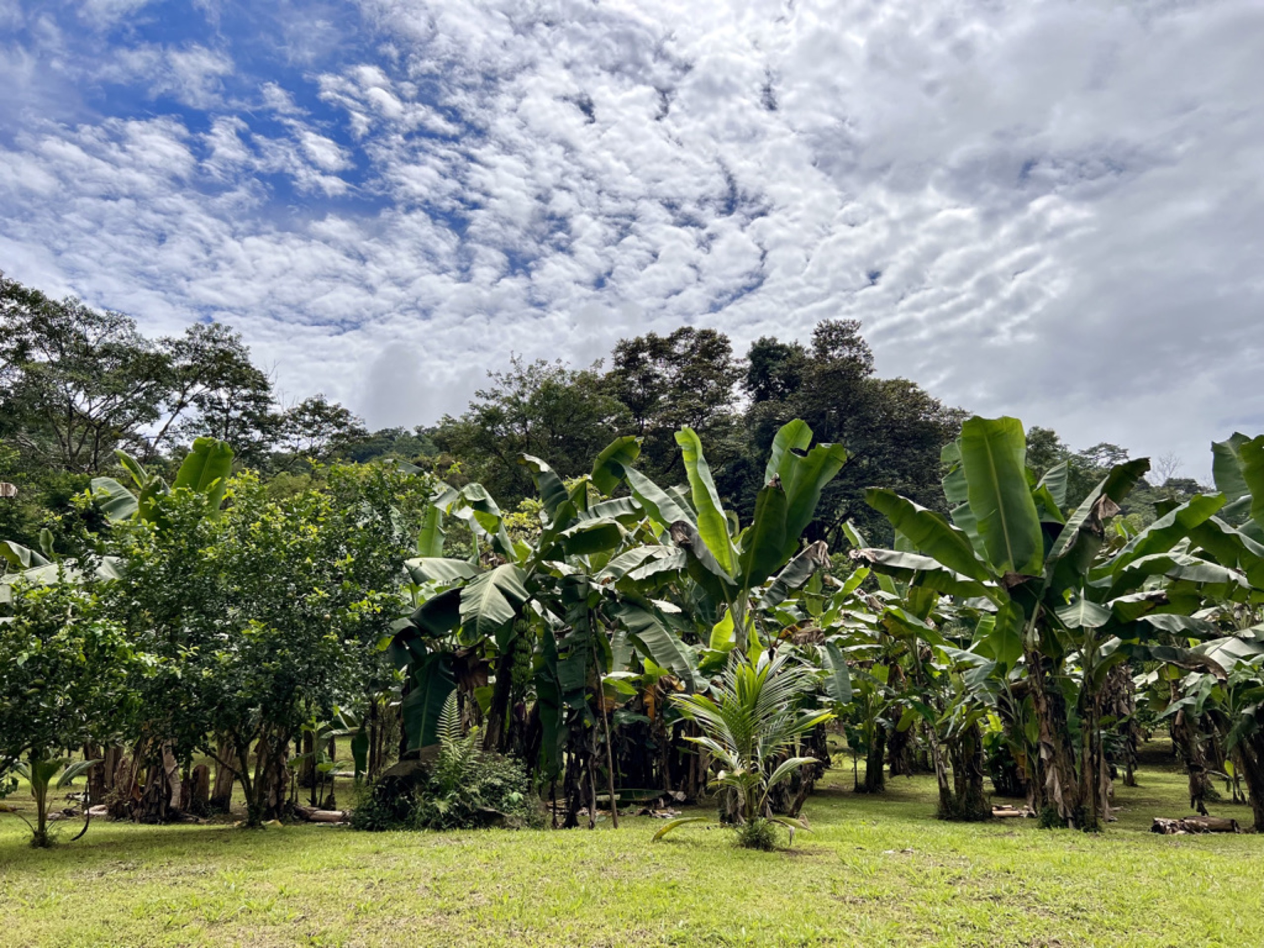 0 bed Land For Sale in Ojochal, Puntarenas - thumb 8