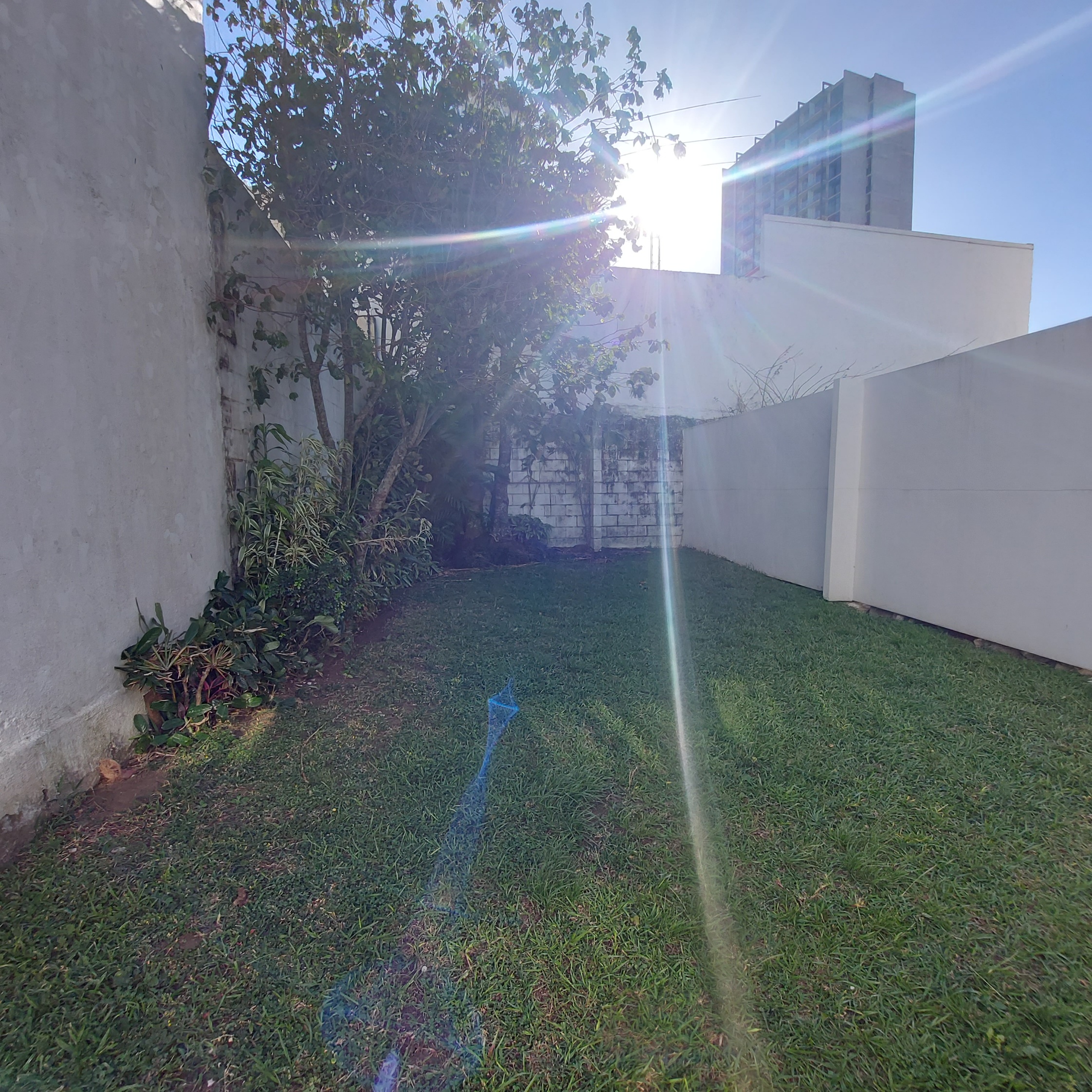 6 bed Commercial For Sale in Rohrmoser, San Jose - thumb 6