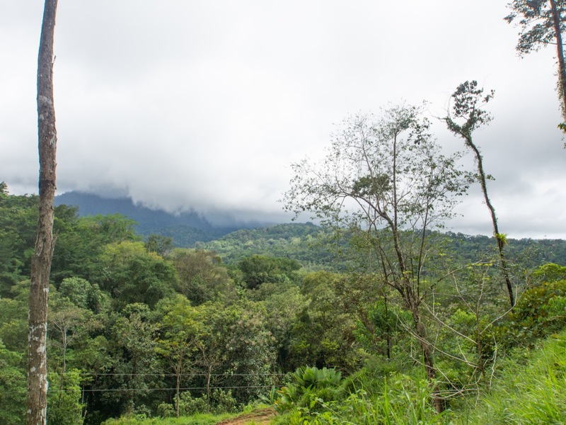 0 bed Land For Sale in Uvita, Puntarenas - thumb 7