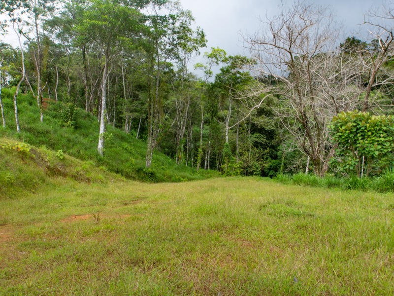 0 bed Land For Sale in Uvita, Puntarenas - thumb 2