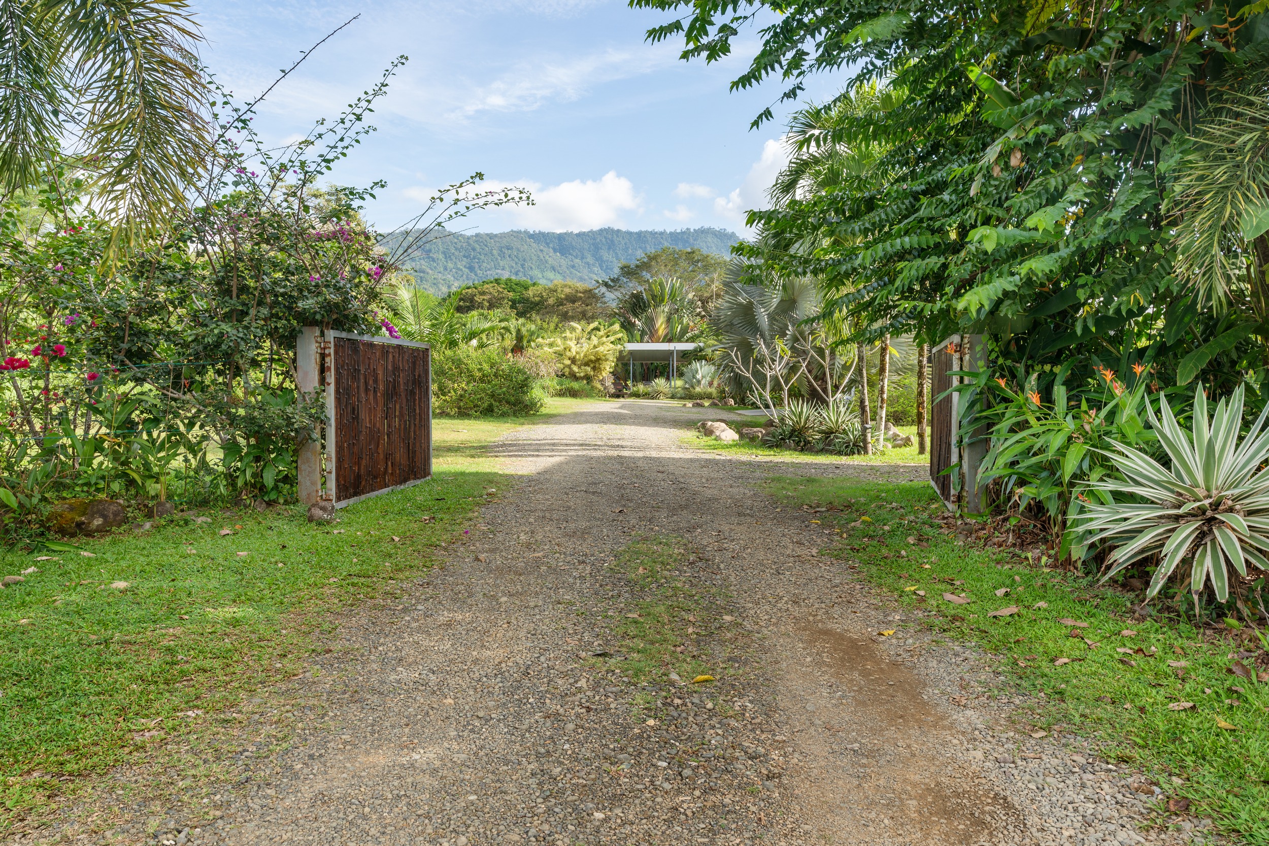 3 bed Single Family Homes For Sale in Uvita, Puntarenas - thumb 5