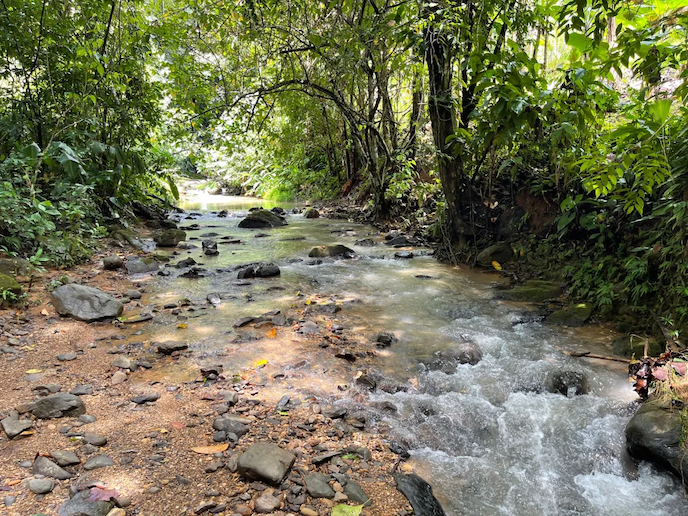 0 bed Land For Sale in Ojochal, Puntarenas - thumb 2