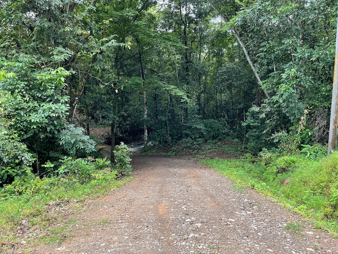 0 bed Land For Sale in Ojochal, Puntarenas - thumb 12