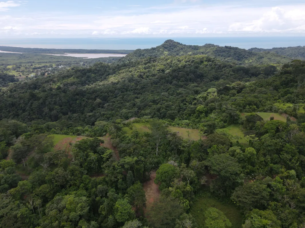 0 bed Land For Sale in Ojochal, Puntarenas - thumb 4