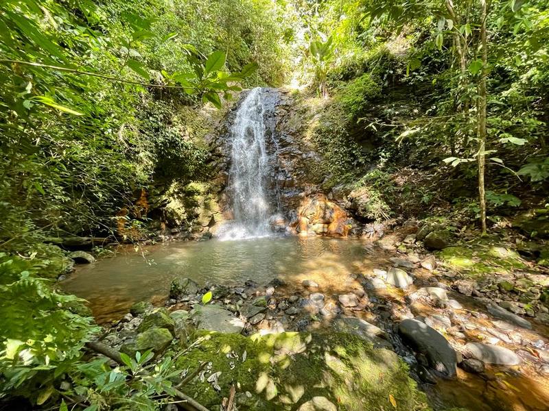 0 bed Land For Sale in Ojochal, Puntarenas - 1