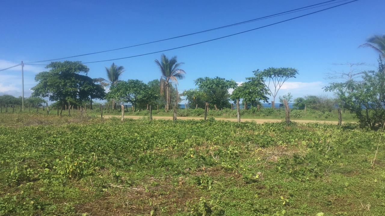 0 bed Land For Sale in Junquillal, Guanacaste - thumb 8