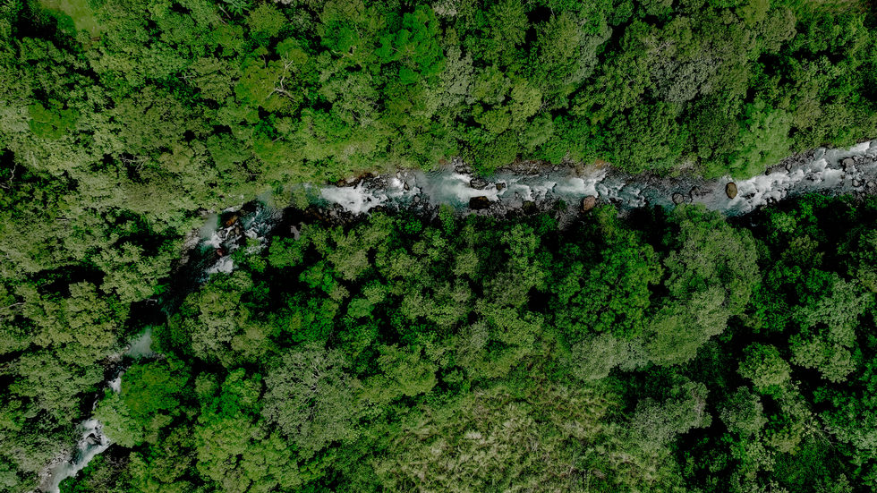 0 bed Land For Sale in Uvita, Puntarenas - thumb 23