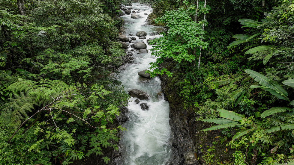 0 bed Land For Sale in Uvita, Puntarenas - thumb 1