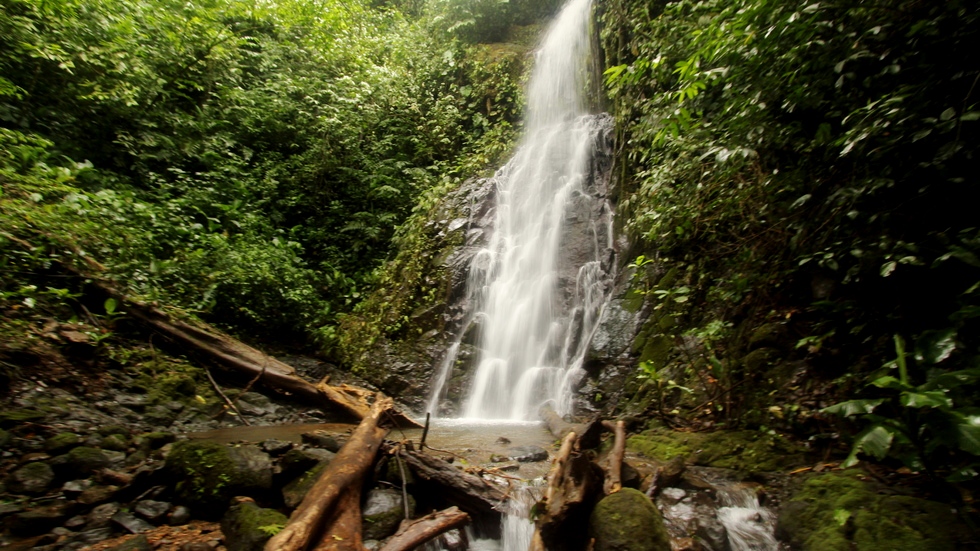 0 bed Land For Sale in Uvita, Puntarenas - thumb 5