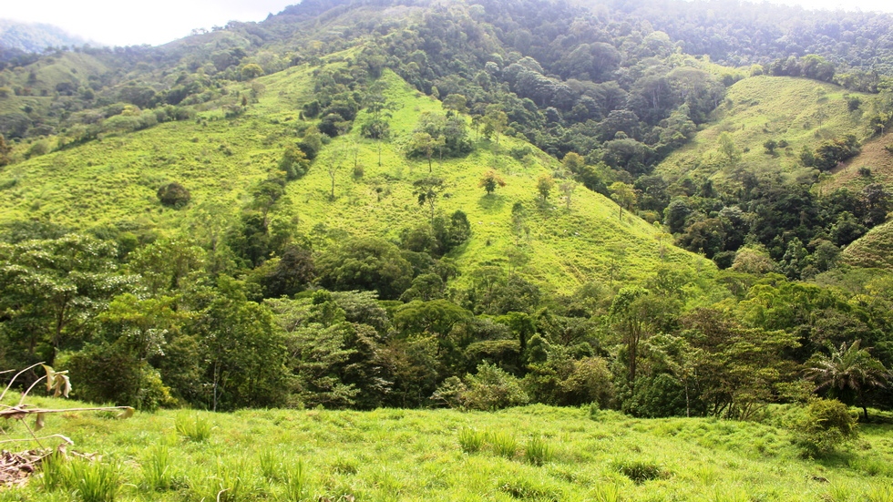 0 bed Land For Sale in Uvita, Puntarenas - thumb 30