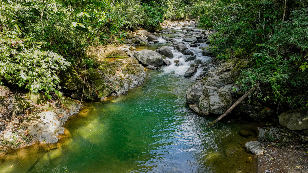 0 bed Land For Sale in Uvita, Puntarenas - thumb 4